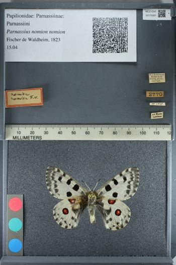 Media type: image;   Entomology 175001